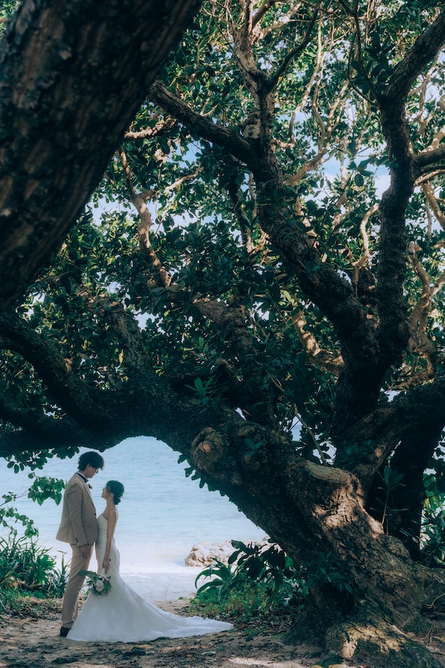 ギャラリーフォト5